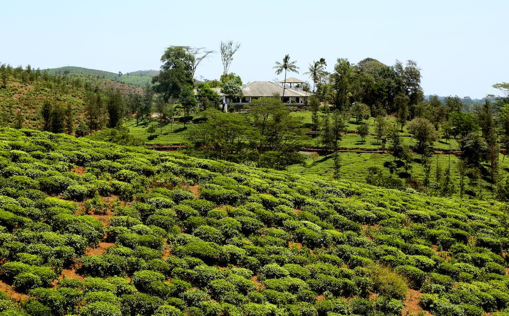Parisons Plantation Experiences By Abad Otel Mananthavady Dış mekan fotoğraf